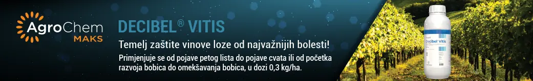 Decibel_Vitis_kategorija