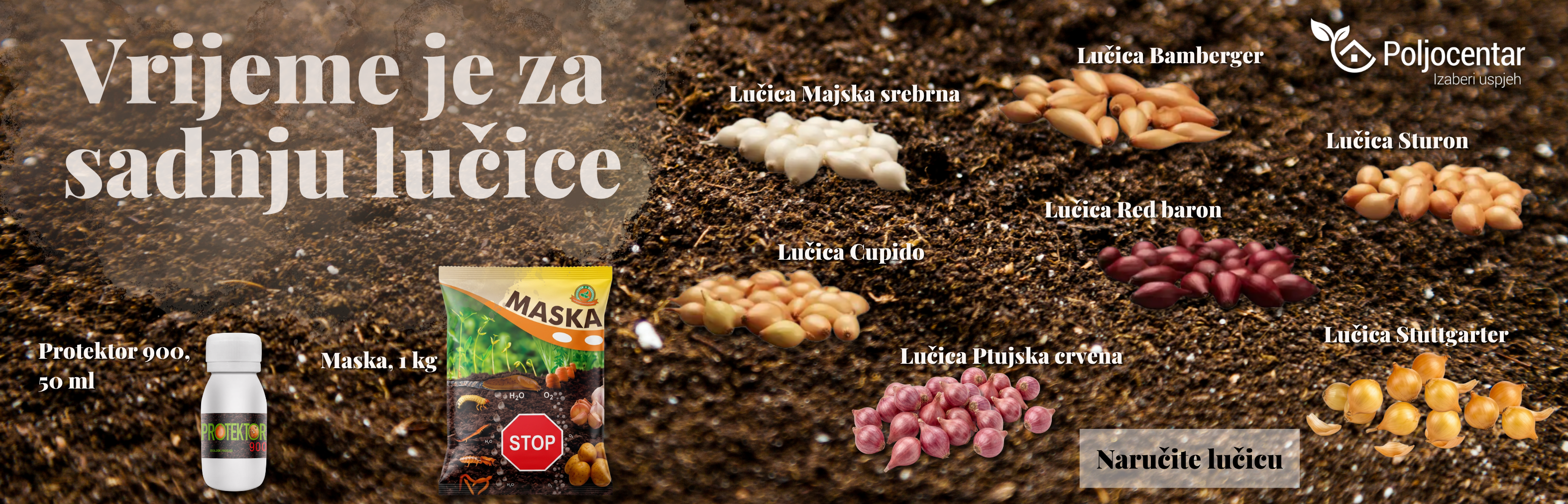 Lučica