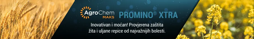 Prominoxtra_kategorija 