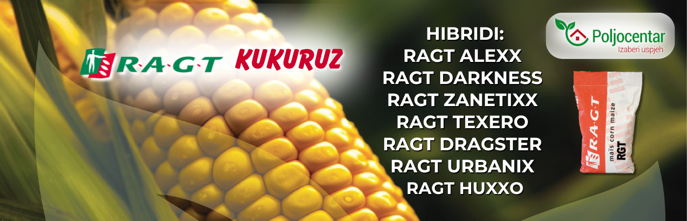 RAGT KUKURUZ 