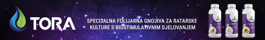 Tora turbo kategorija