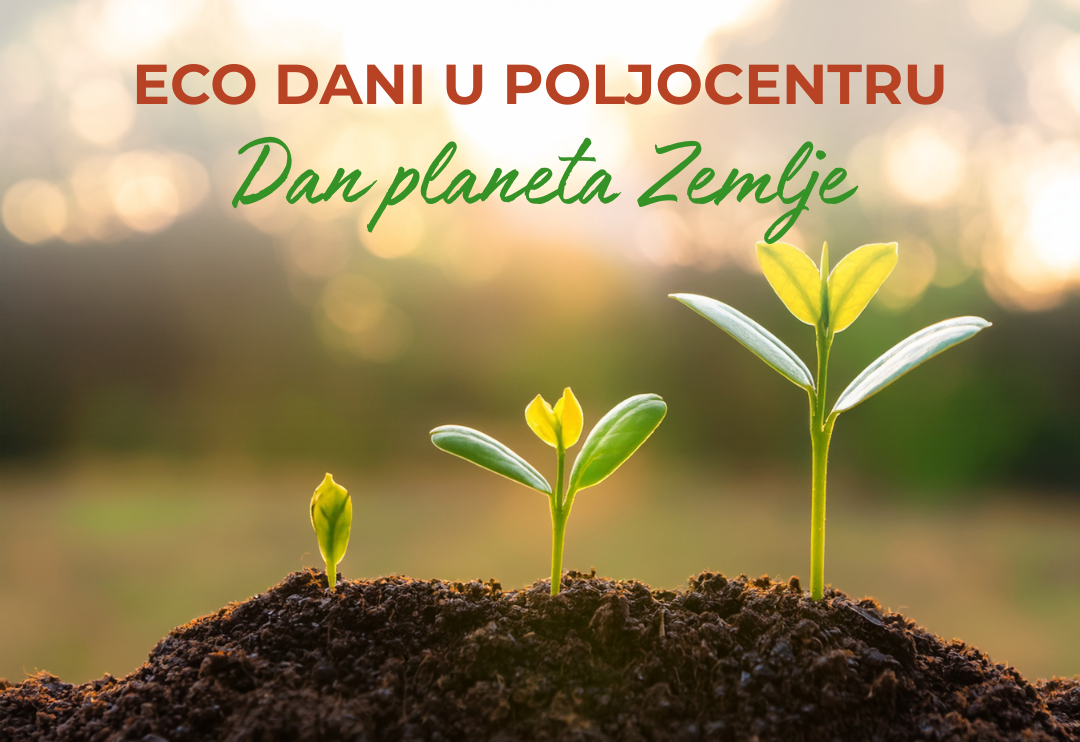 Zdrave biljke, sretan planet: Zašto ove sezone isprobati bio i eko zaštitu bilja?