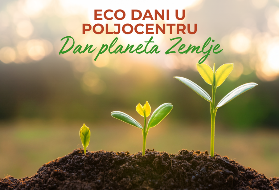 Zdrave biljke, sretan planet: Zašto ove sezone isprobati bio i eko zaštitu bilja?