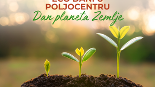 Zdrave biljke, sretan planet: Zašto ove sezone isprobati bio i eko zaštitu bilja?