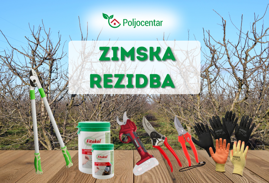 Zimska rezidba- zašto je tako važna?!