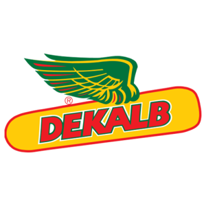 DEKALB 4533 ACC ELITE 80MK