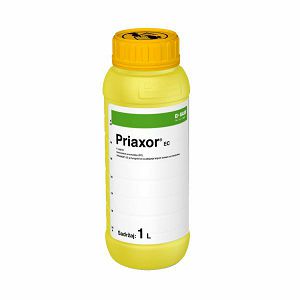 PRIAXOR EC 1 L