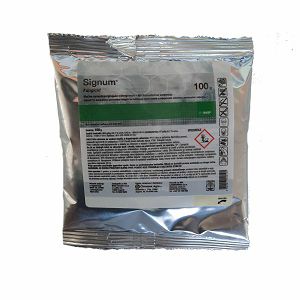 SIGNUM 100 G