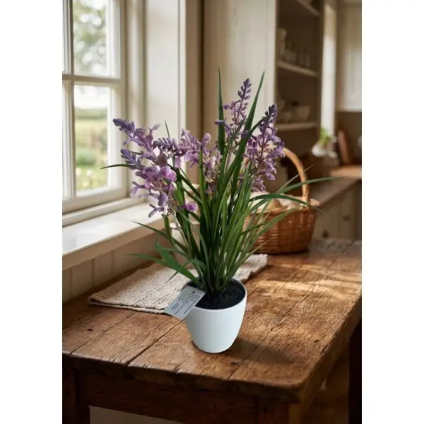 LAVANDA U TEGLI, H36